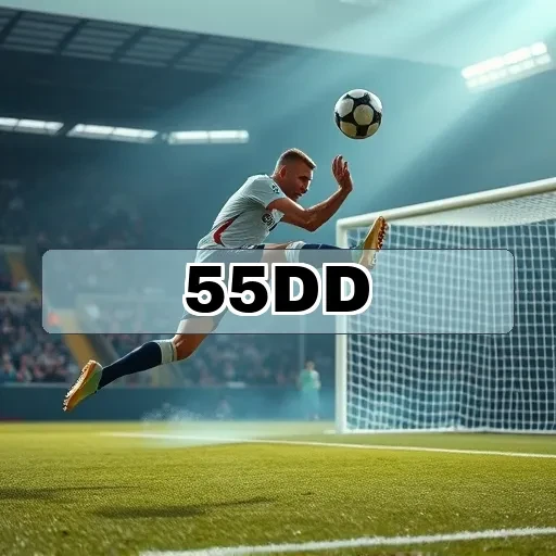 55dd.com Recompensas